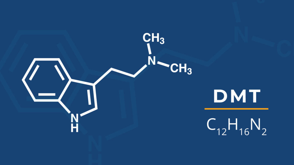 DMT Side Effects And Risks